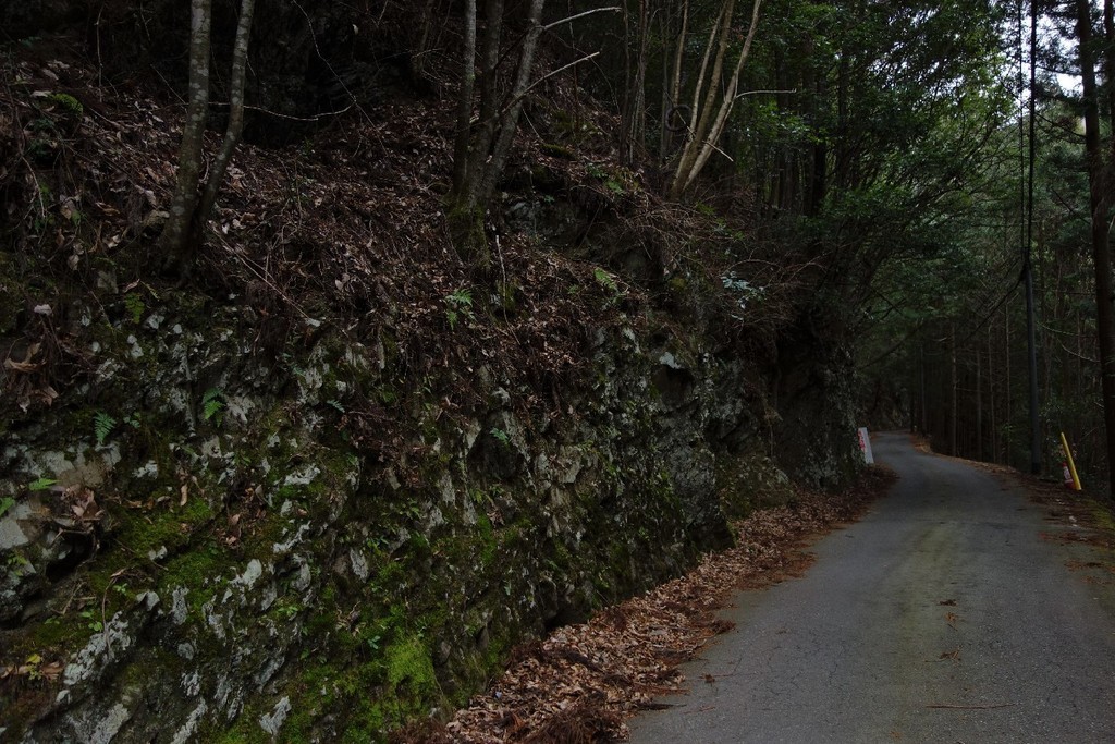 f:id:nonoty32a:20190211202420j:plain