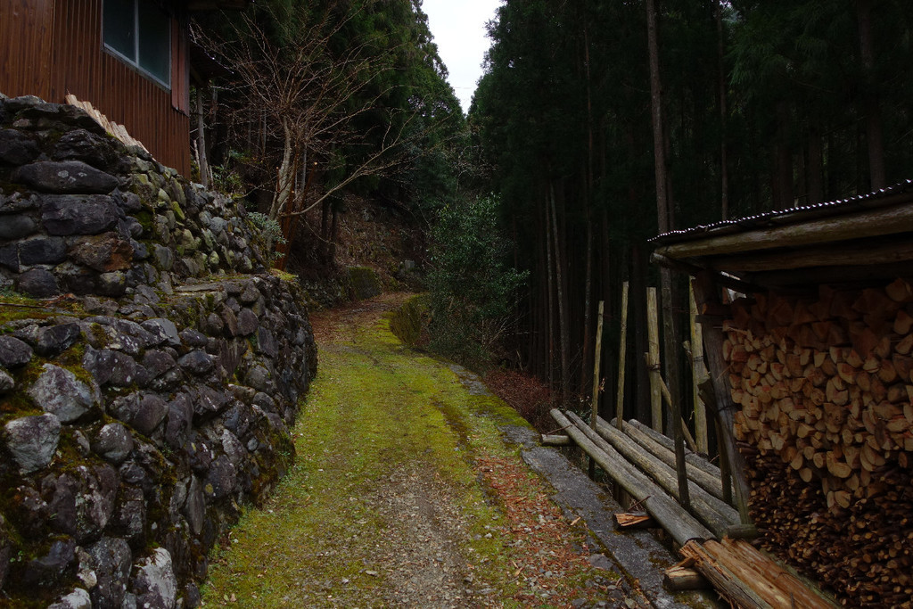 f:id:nonoty32a:20190211203916j:plain