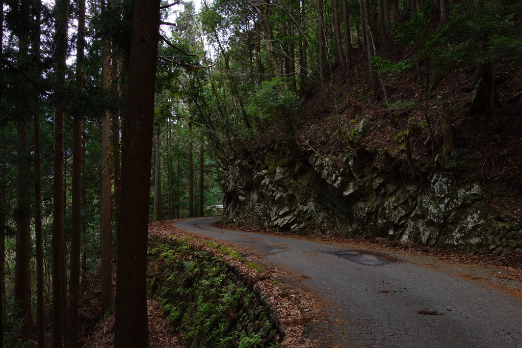 f:id:nonoty32a:20190211204757j:plain