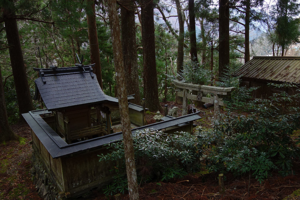 f:id:nonoty32a:20190211204856j:plain