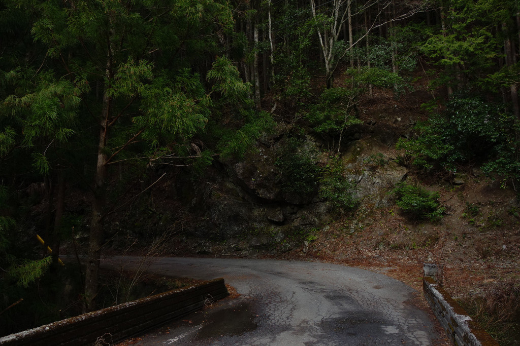 f:id:nonoty32a:20190211205622j:plain