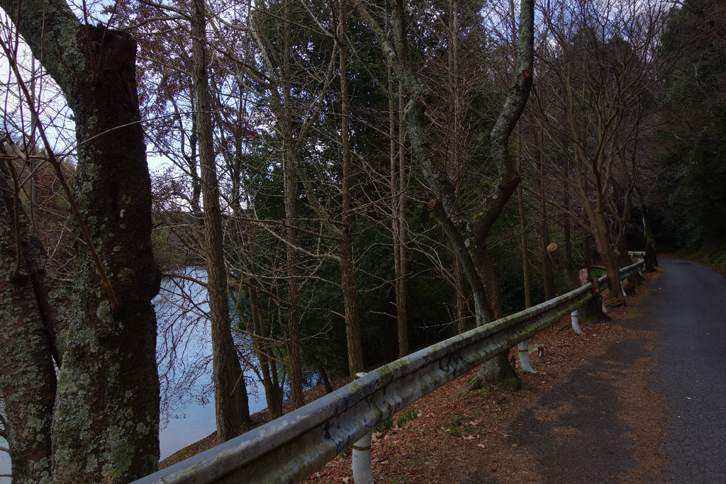 f:id:nonoty32a:20190215182142j:plain