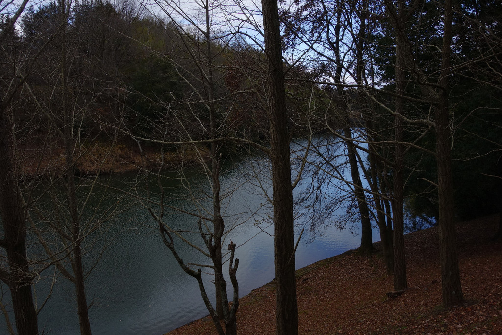 f:id:nonoty32a:20190215182336j:plain