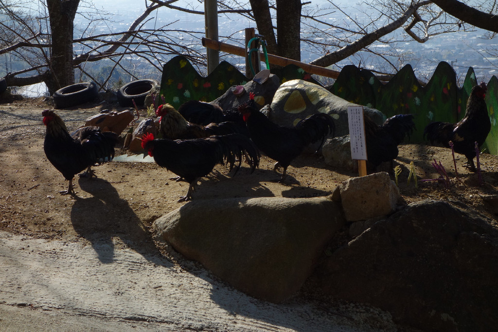 f:id:nonoty32a:20190219190003j:plain