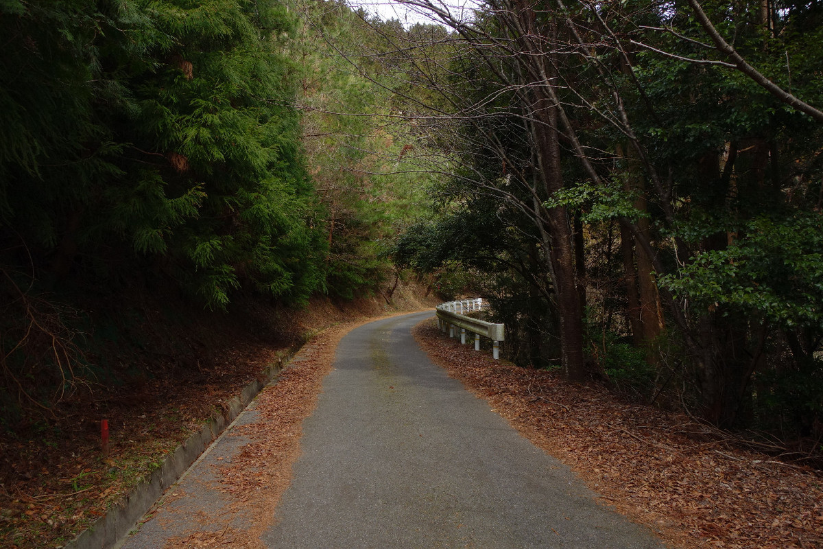 f:id:nonoty32a:20190323131610j:plain