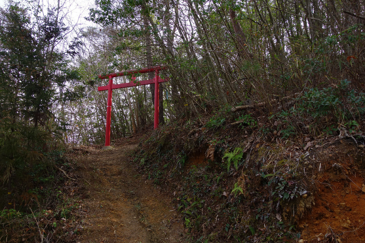 f:id:nonoty32a:20190323132022j:plain