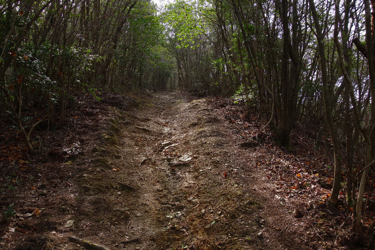 f:id:nonoty32a:20190323132207j:plain