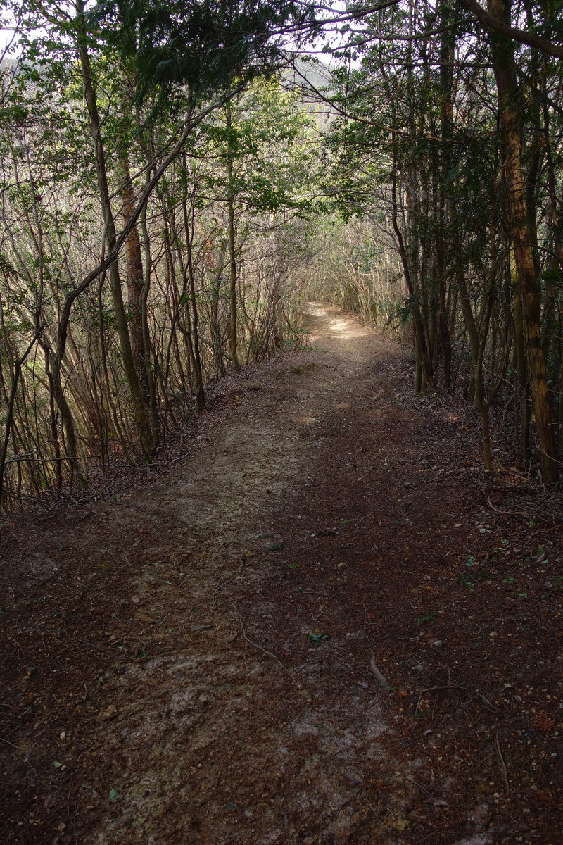 f:id:nonoty32a:20190323132556j:plain