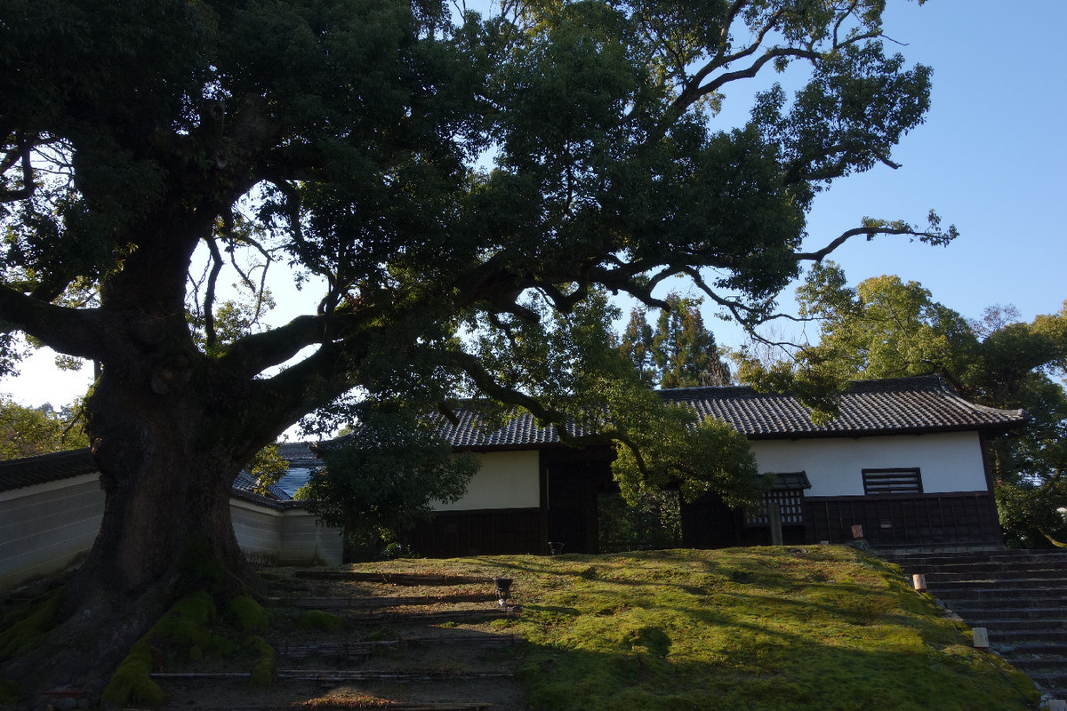 f:id:nonoty32a:20190325180722j:plain