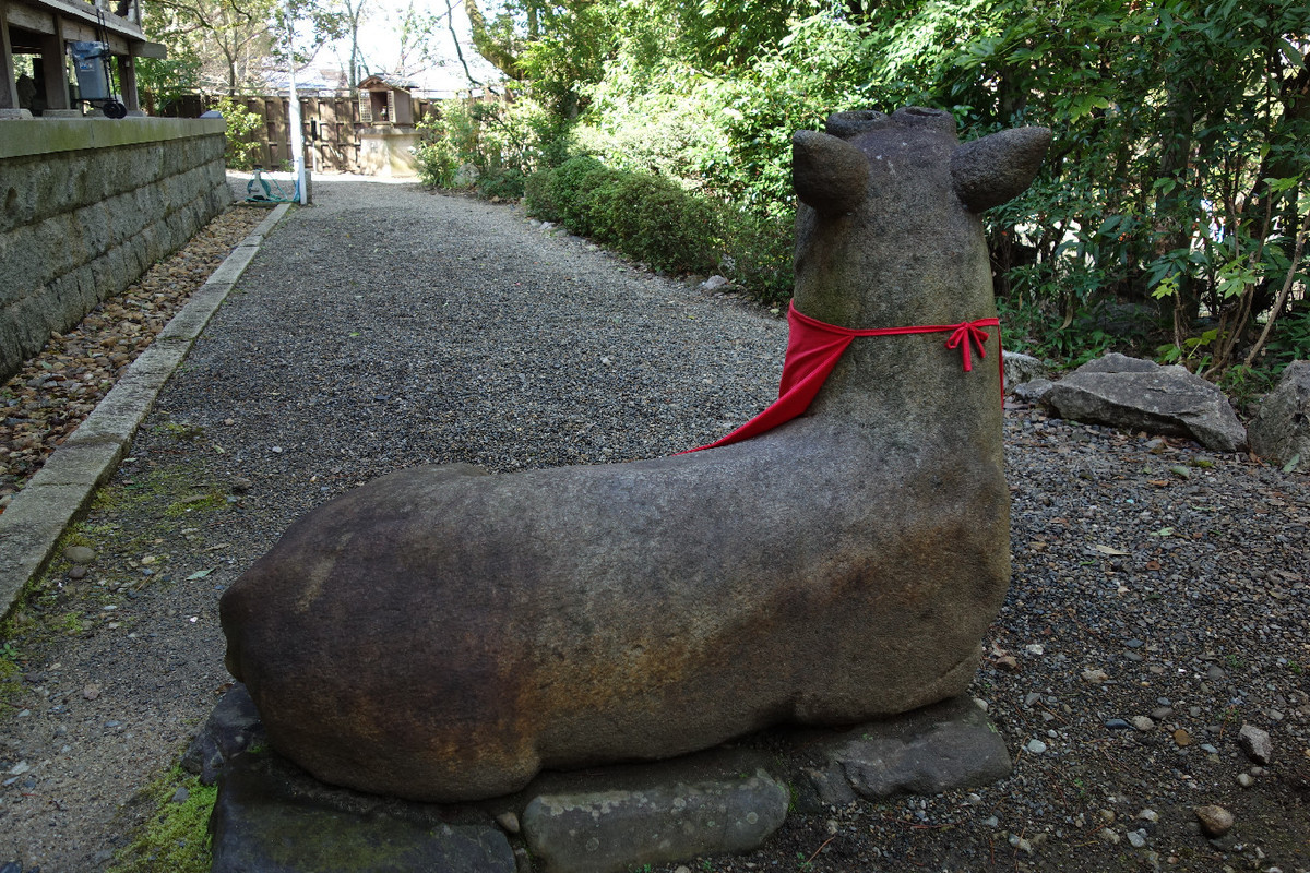 f:id:nonoty32a:20190325181115j:plain