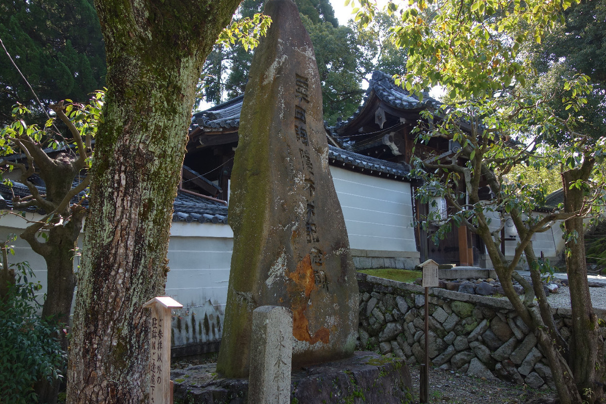 f:id:nonoty32a:20190325181411j:plain