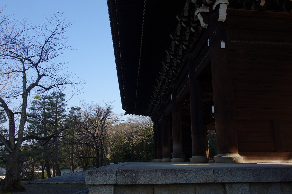 f:id:nonoty32a:20190325181847j:plain