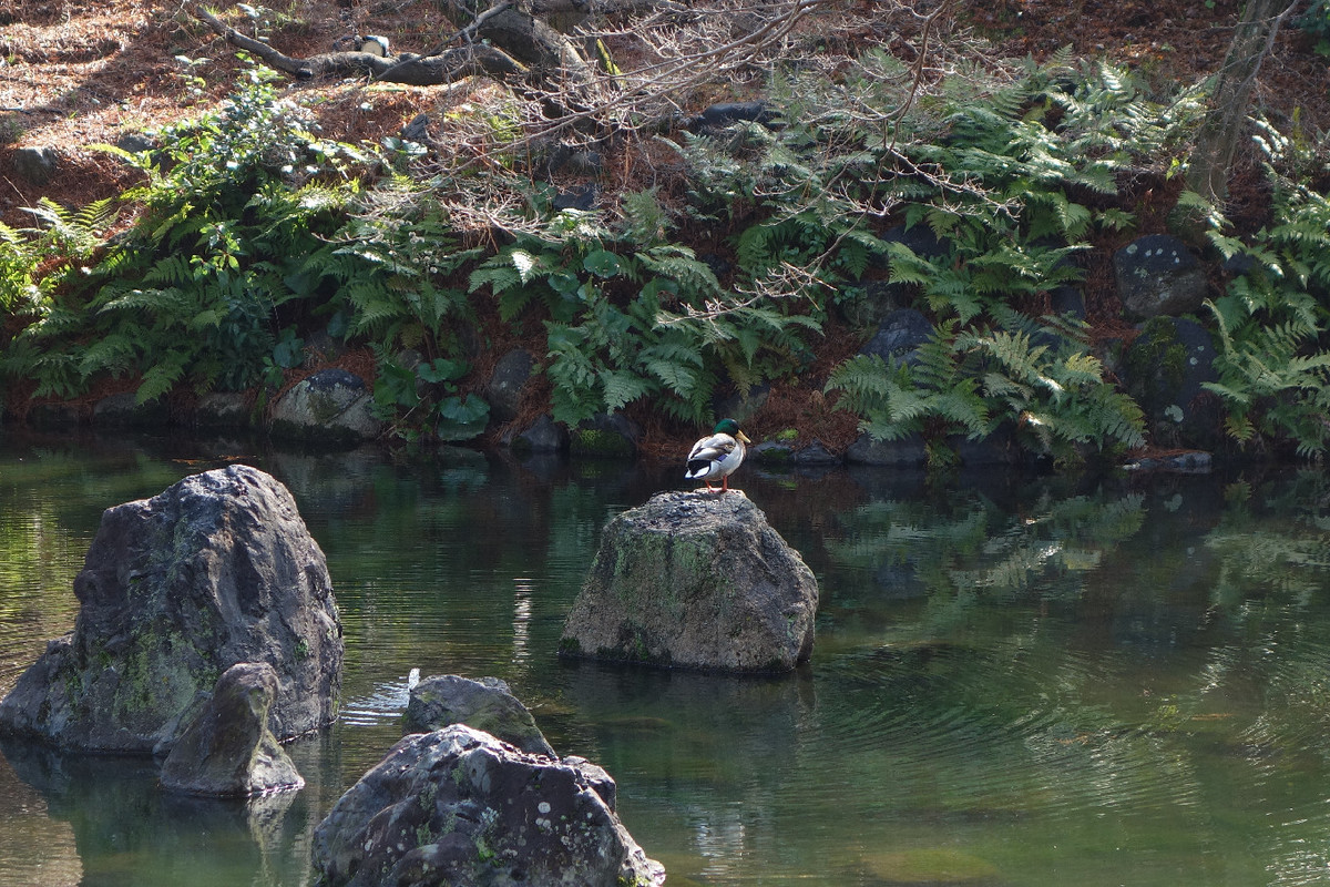 f:id:nonoty32a:20190328193029j:plain f:id:nonoty32a:20190328193029j:plain