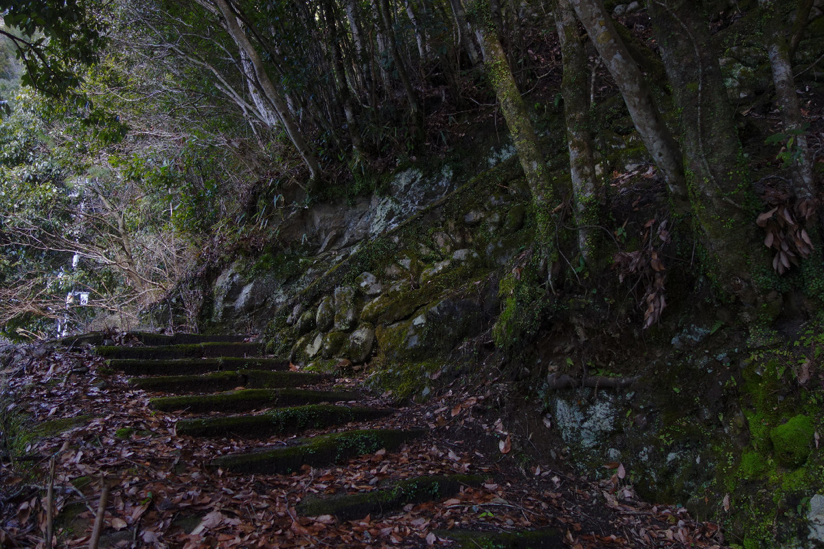 f:id:nonoty32a:20190330200453j:plain f:id:nonoty32a:20190330200453j:plain