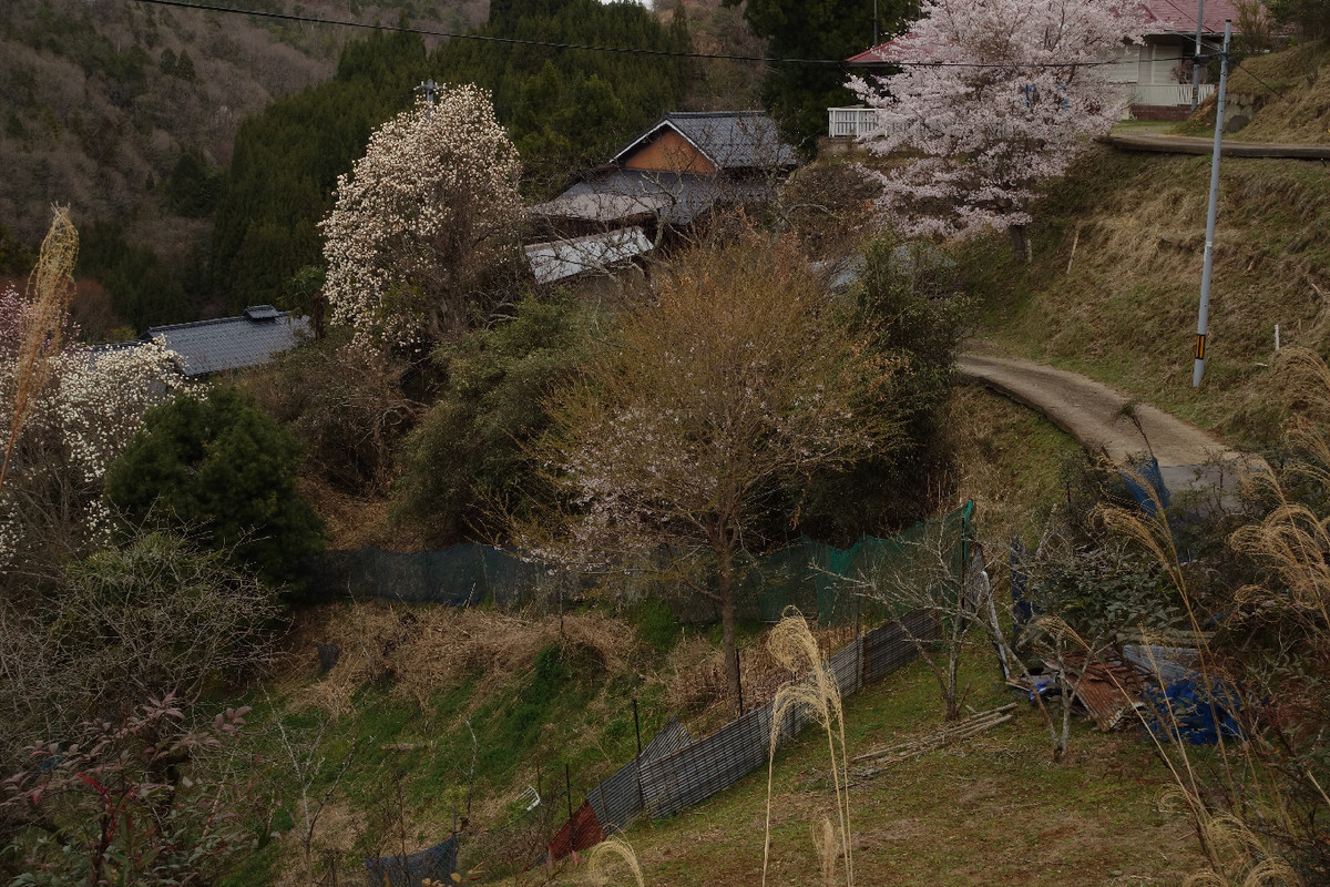 f:id:nonoty32a:20190413144420j:plain