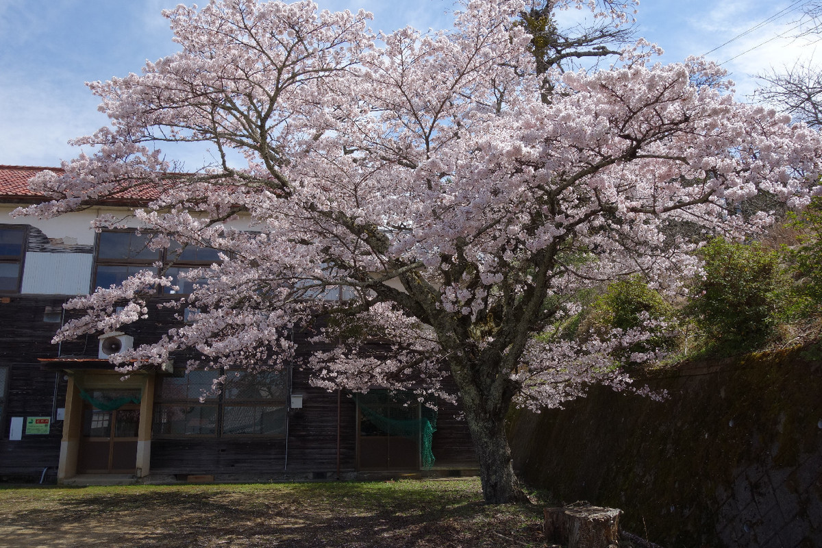 f:id:nonoty32a:20190413144854j:plain