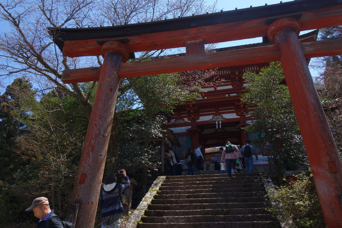 f:id:nonoty32a:20190413145829j:plain