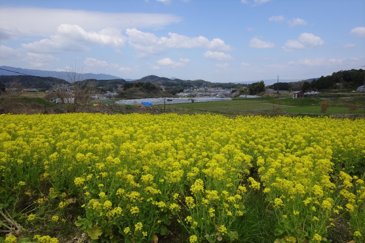 f:id:nonoty32a:20190418123501j:plain