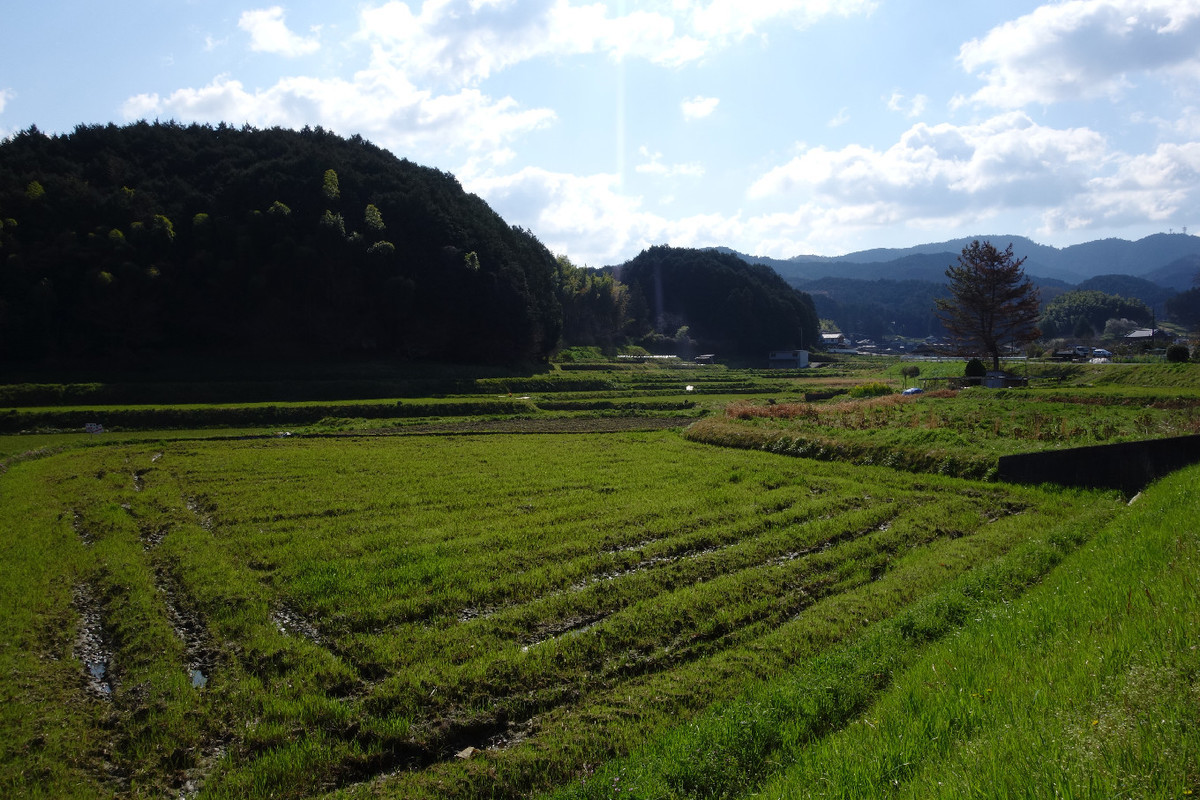 f:id:nonoty32a:20190418123656j:plain