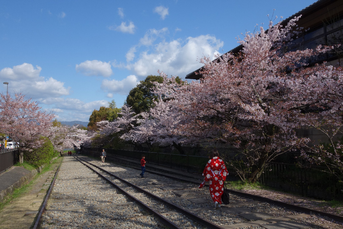 f:id:nonoty32a:20190422144130j:plain