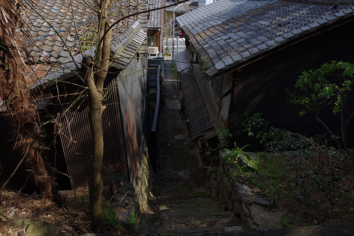 f:id:nonoty32a:20190422145058j:plain