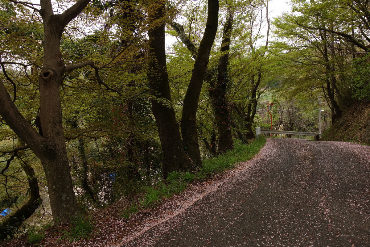 f:id:nonoty32a:20190427151703j:plain