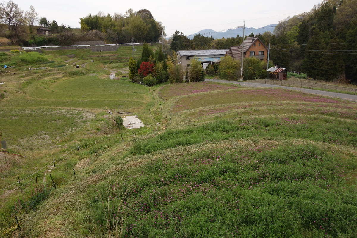 f:id:nonoty32a:20190427153029j:plain