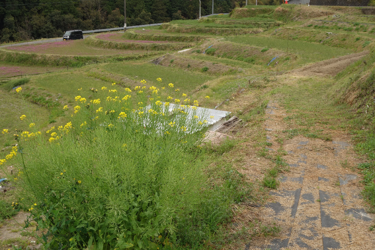 f:id:nonoty32a:20190427153326j:plain