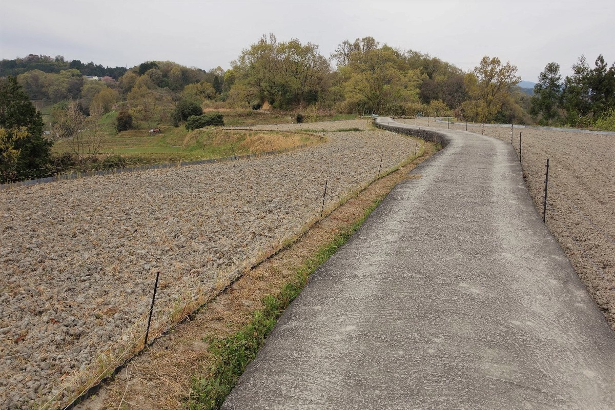 f:id:nonoty32a:20190427153414j:plain