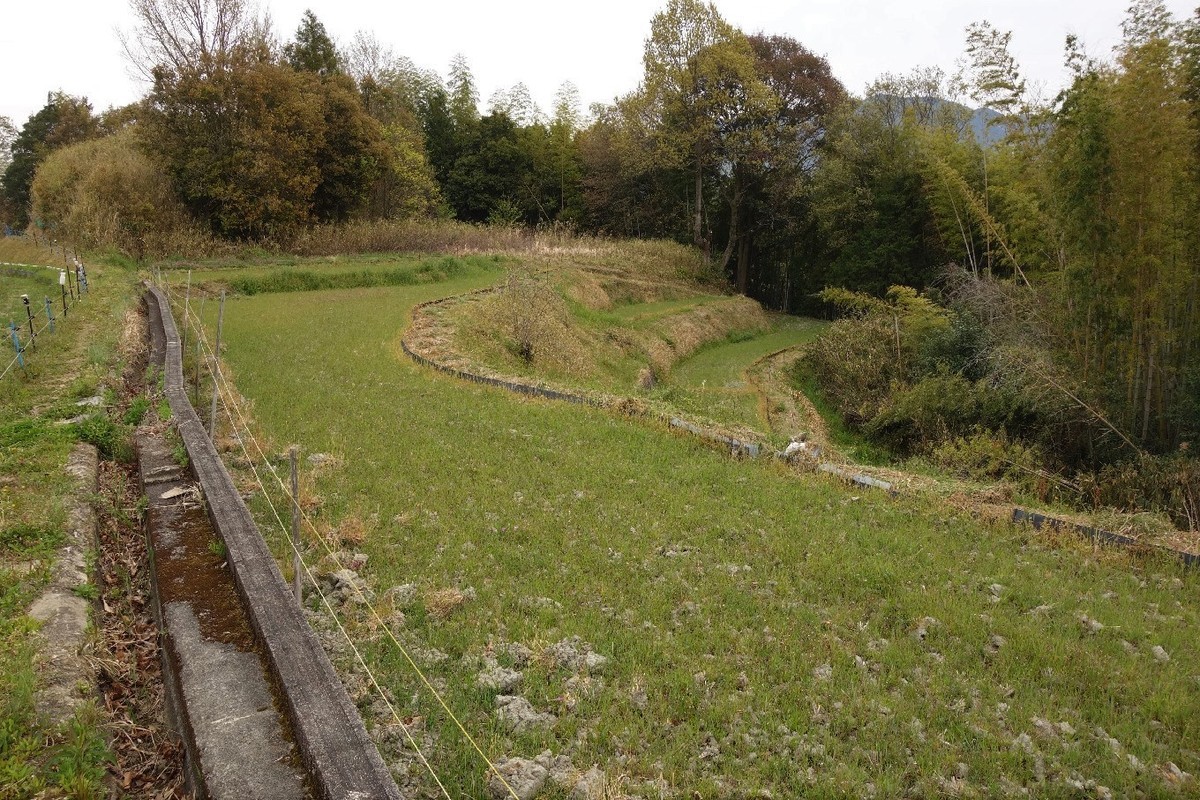 f:id:nonoty32a:20190427153534j:plain