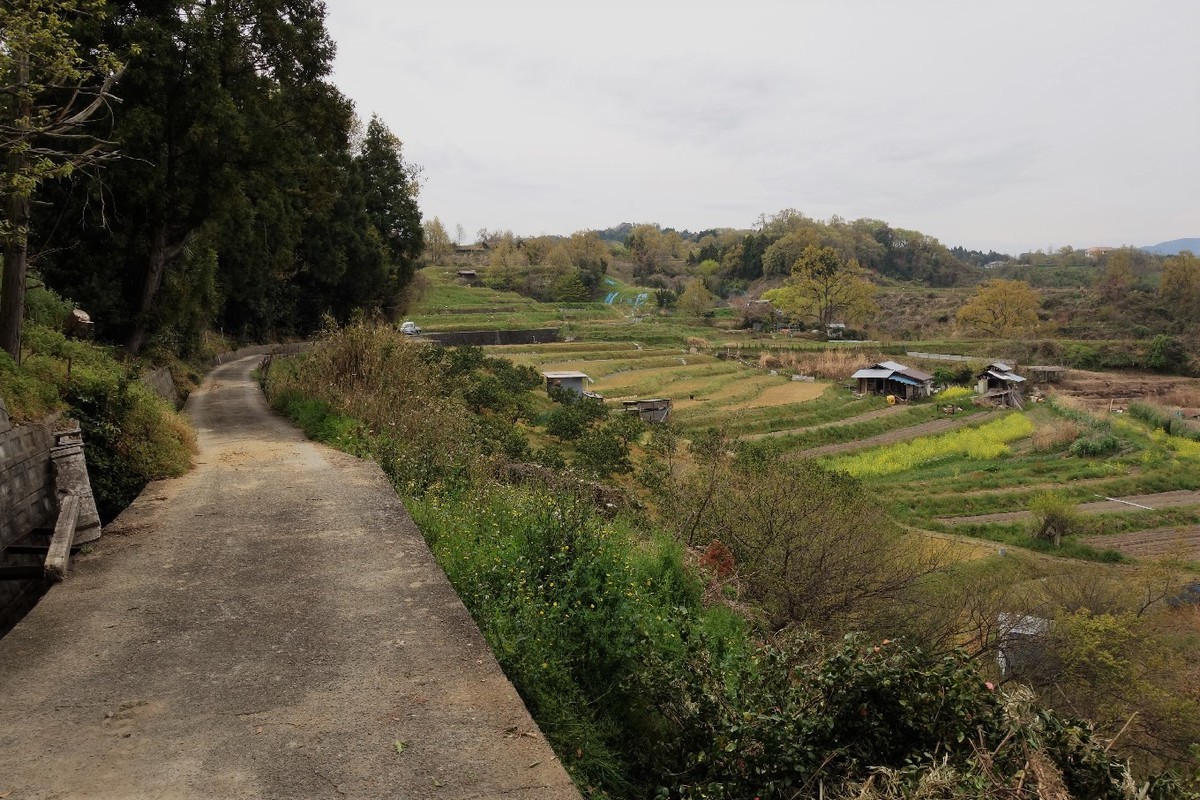 f:id:nonoty32a:20190427154051j:plain