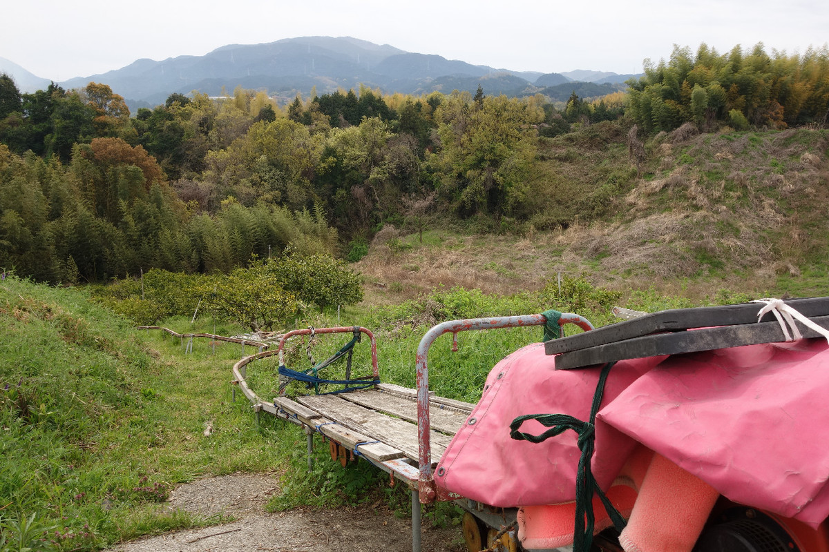 f:id:nonoty32a:20190427154212j:plain