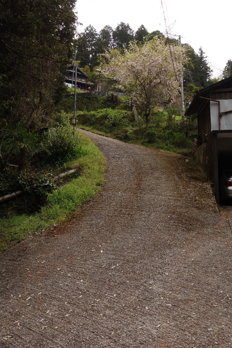 f:id:nonoty32a:20190428151330j:plain