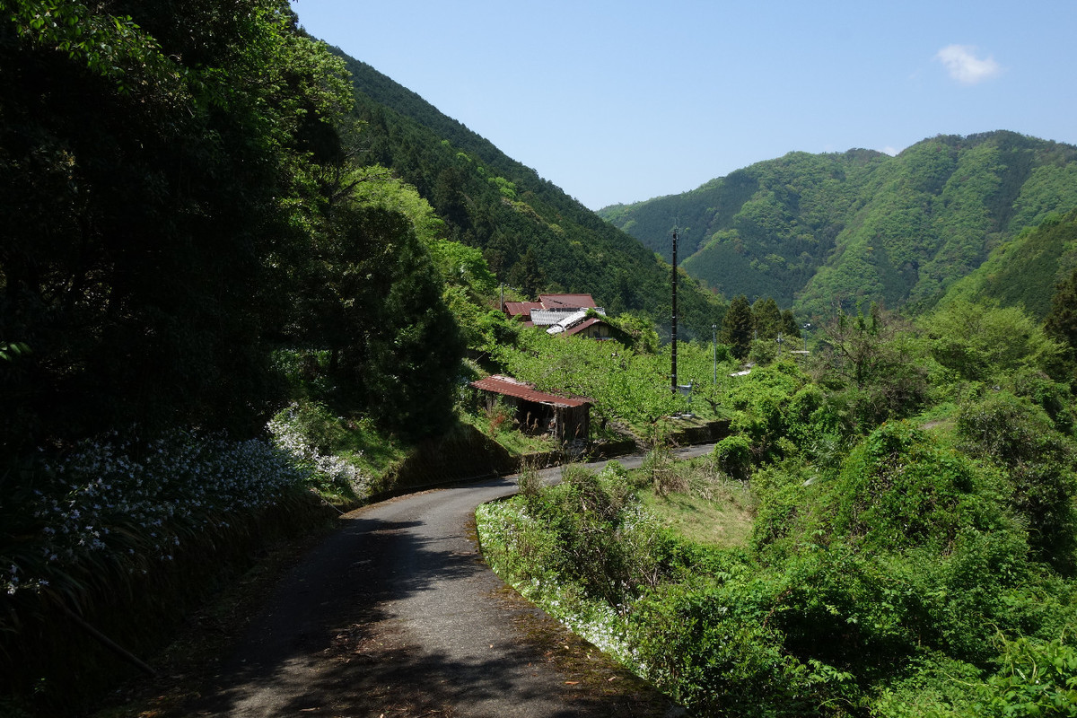 f:id:nonoty32a:20190515224916j:plain f:id:nonoty32a:20190515224916j:plain