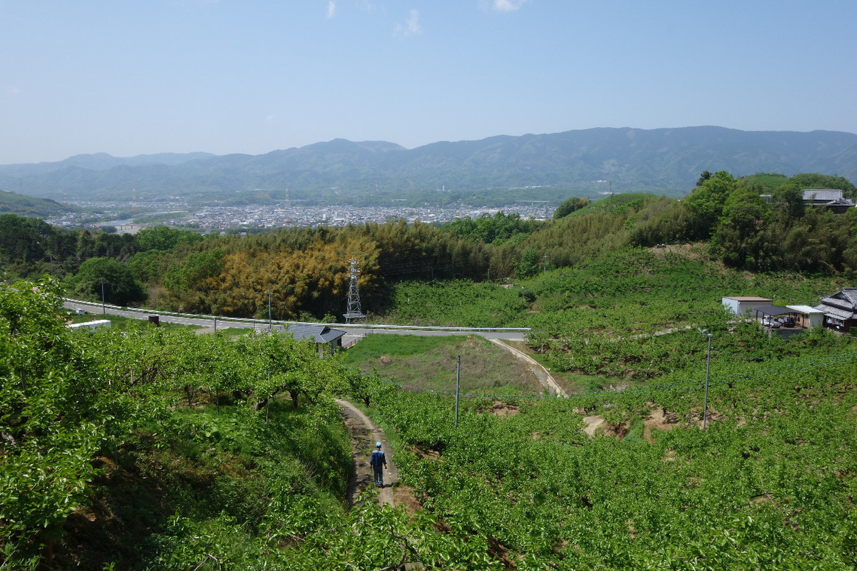 f:id:nonoty32a:20190515230042j:plain f:id:nonoty32a:20190515230042j:plain