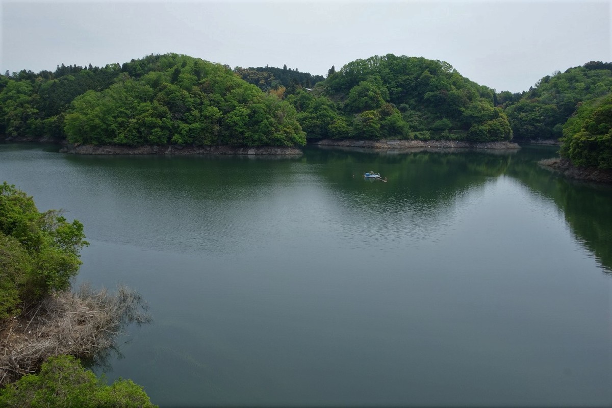 f:id:nonoty32a:20190529210112j:plain f:id:nonoty32a:20190529210112j:plain