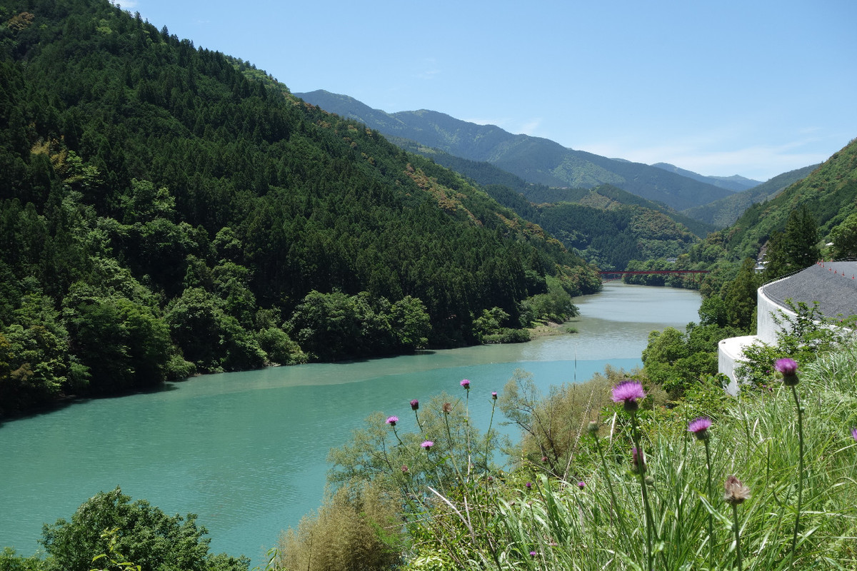 f:id:nonoty32a:20190617144856j:plain