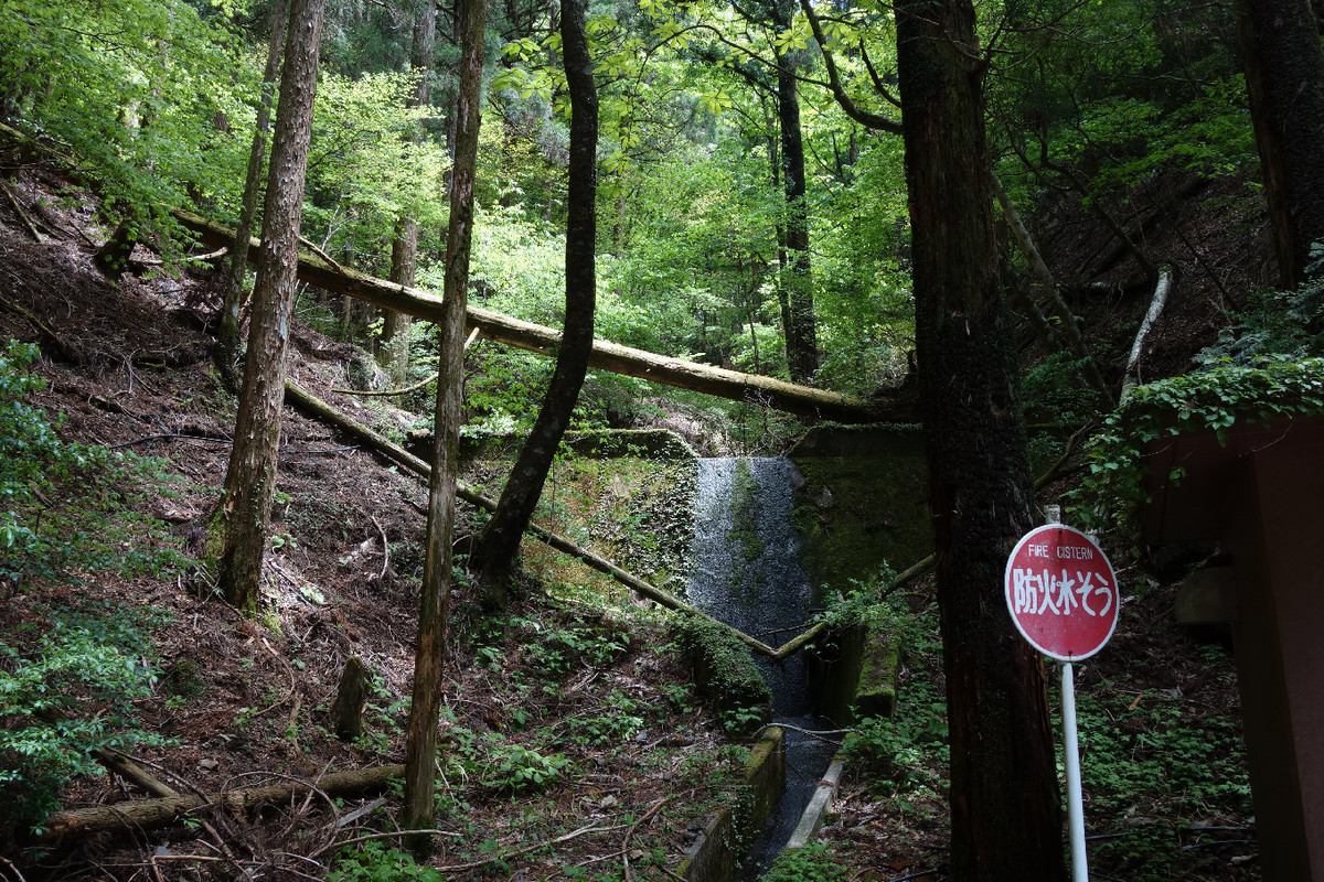 f:id:nonoty32a:20190617145902j:plain