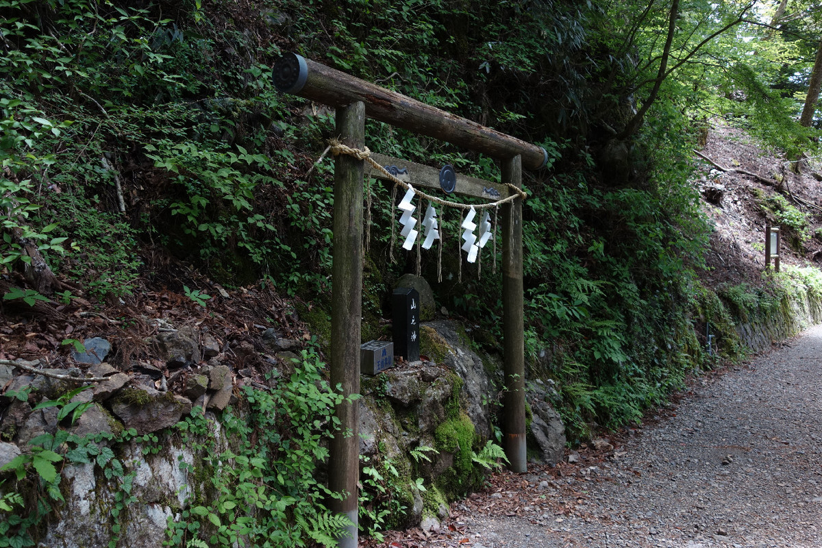 f:id:nonoty32a:20190617150012j:plain