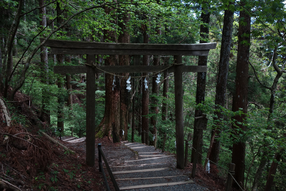 f:id:nonoty32a:20190617150355j:plain