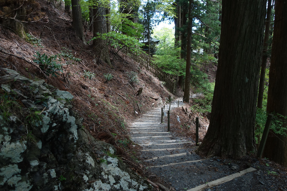 f:id:nonoty32a:20190620132603j:plain