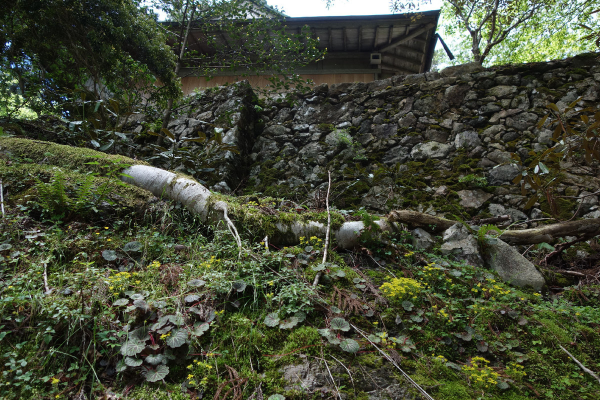 f:id:nonoty32a:20190620132705j:plain