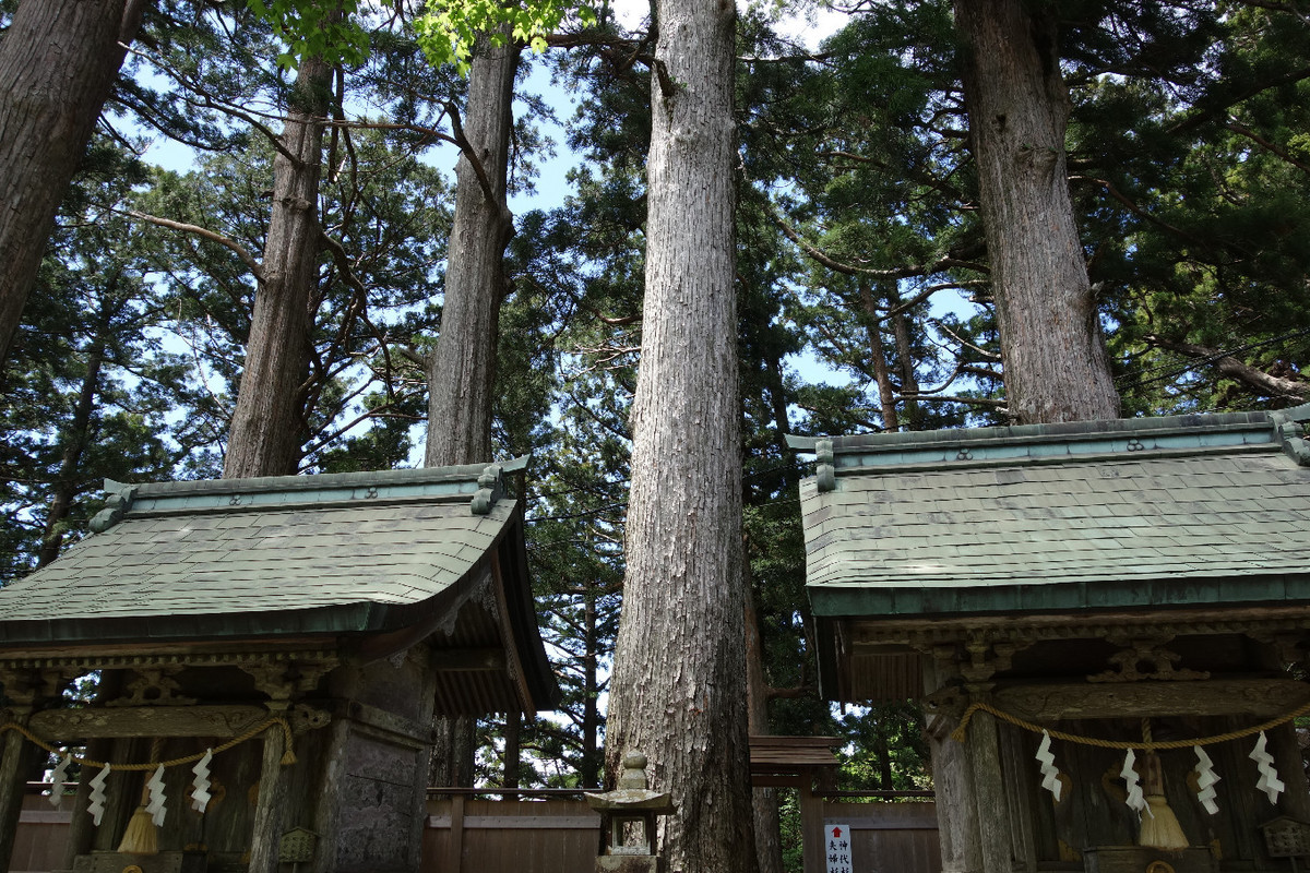 f:id:nonoty32a:20190620133107j:plain