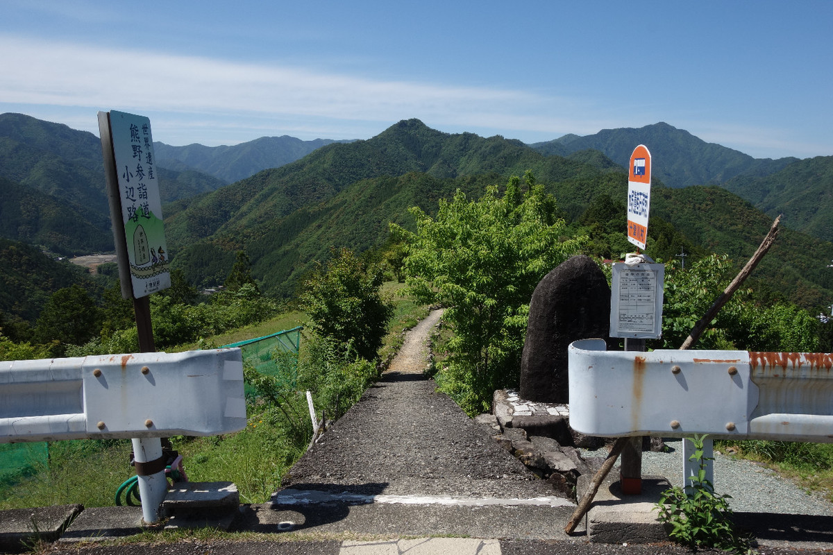 f:id:nonoty32a:20190620134501j:plain