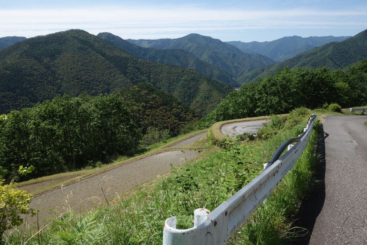 f:id:nonoty32a:20190620134957j:plain