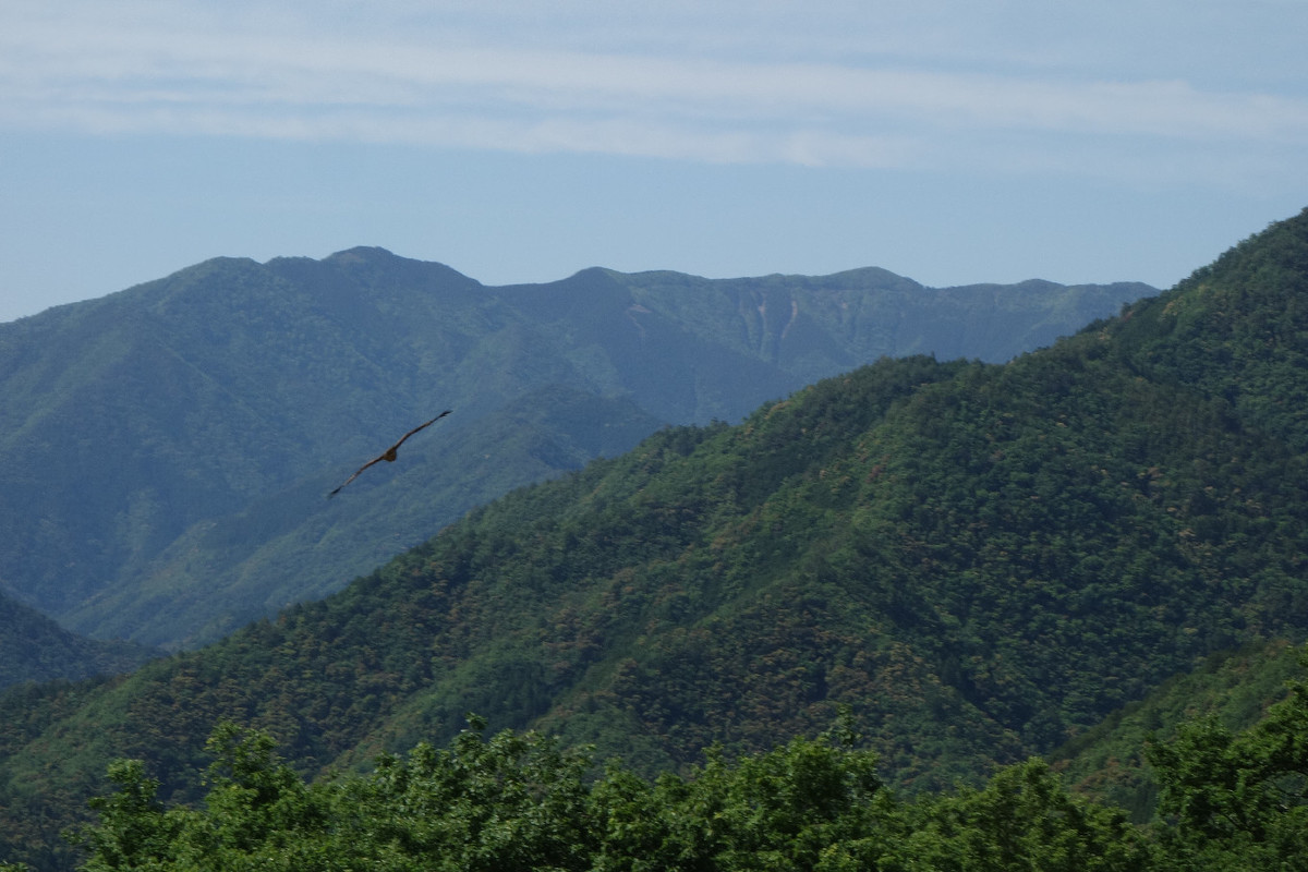 f:id:nonoty32a:20190620135049j:plain