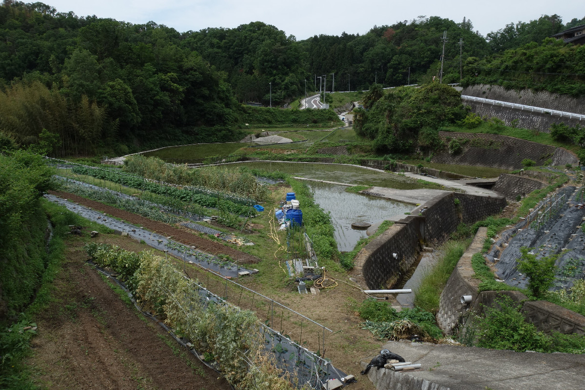 f:id:nonoty32a:20190624125536j:plain