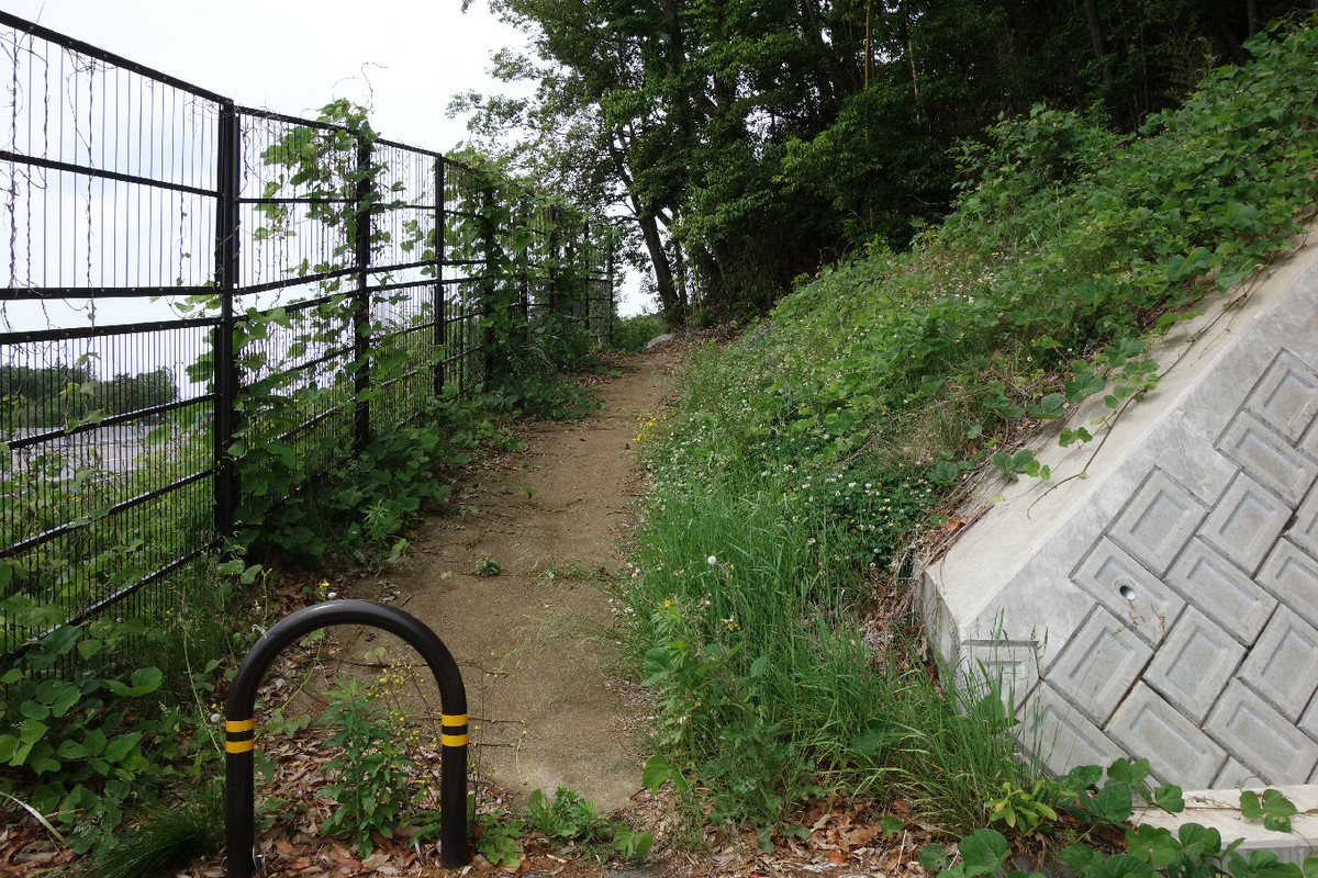 f:id:nonoty32a:20190624130029j:plain