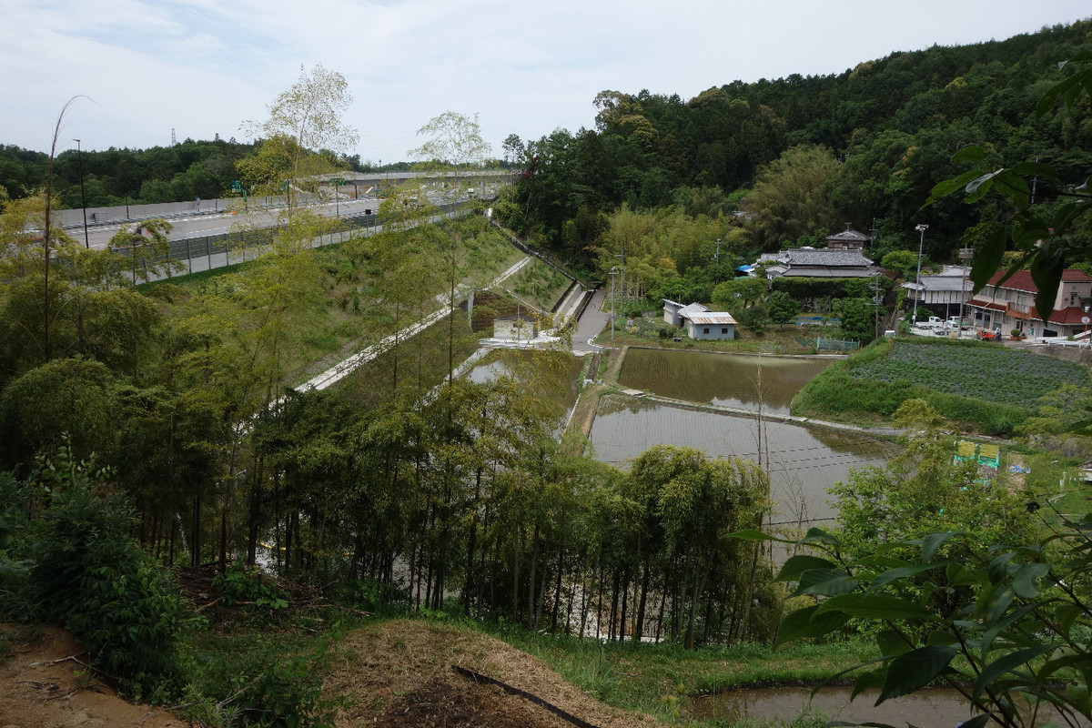 f:id:nonoty32a:20190624130233j:plain