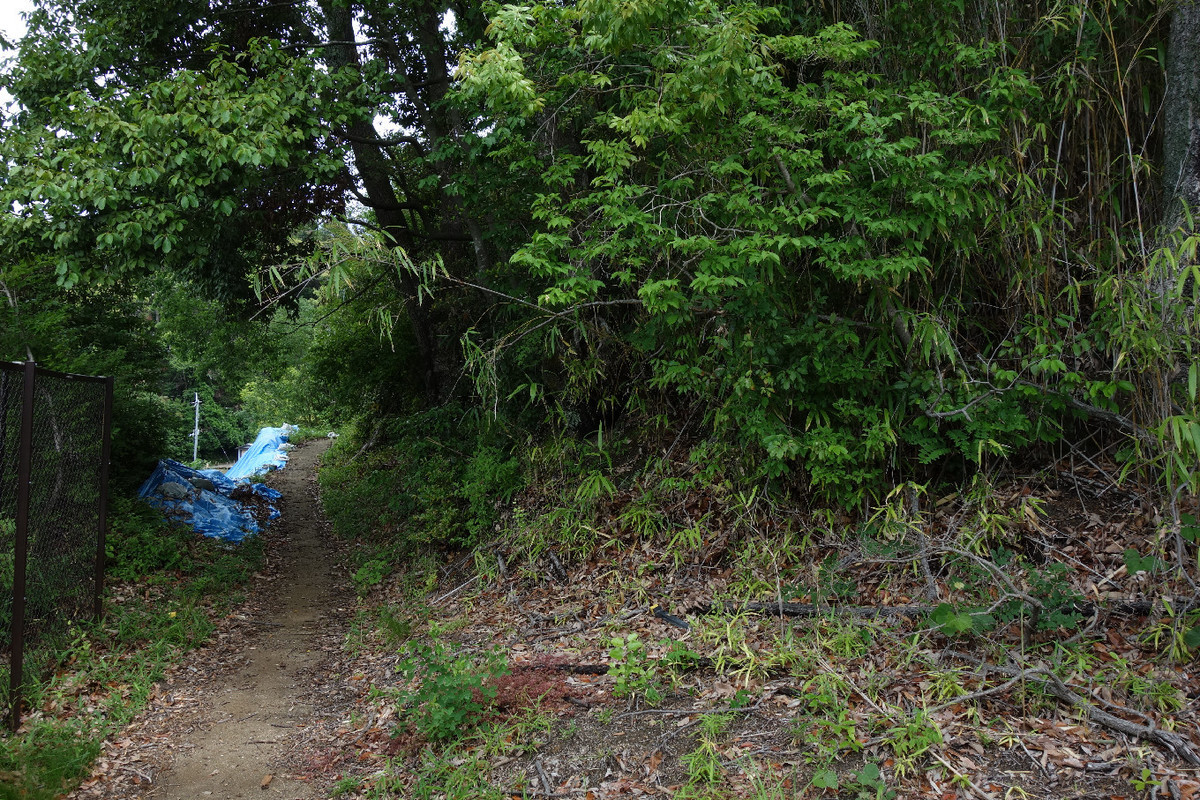 f:id:nonoty32a:20190624130342j:plain